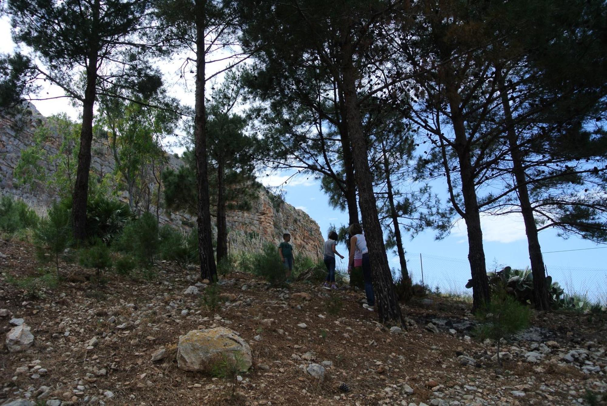 La Pineta Al Mare Appartement Erice Buitenkant foto